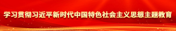 日逼嘿嘿学习贯彻习近平新时代中国特色社会主义思想主题教育